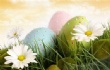 Easter Competitions at Our School