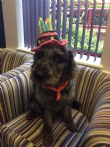 Happy Birthday Monty!